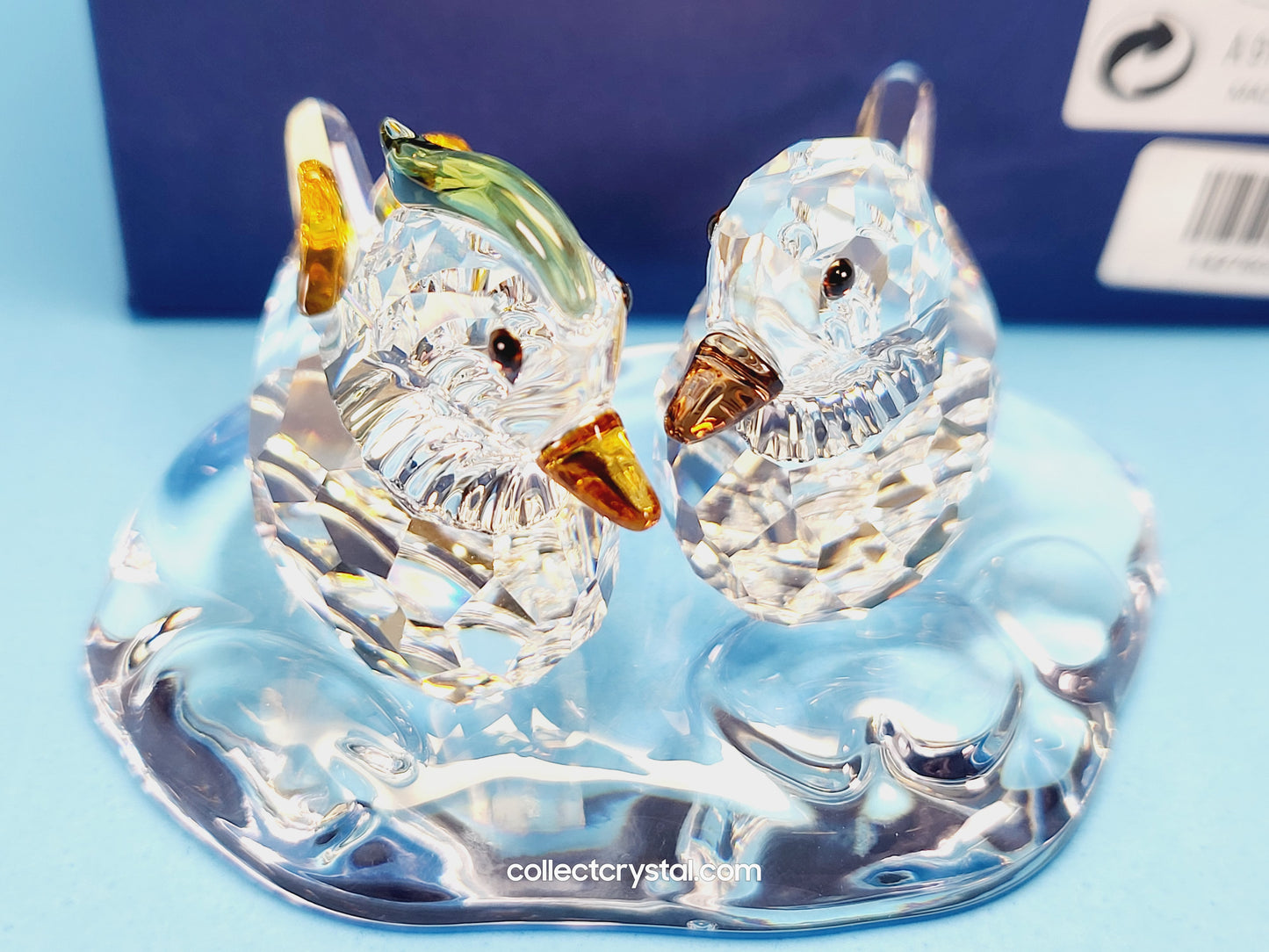 Mandarin ducks Clear with Colored Accents 858736