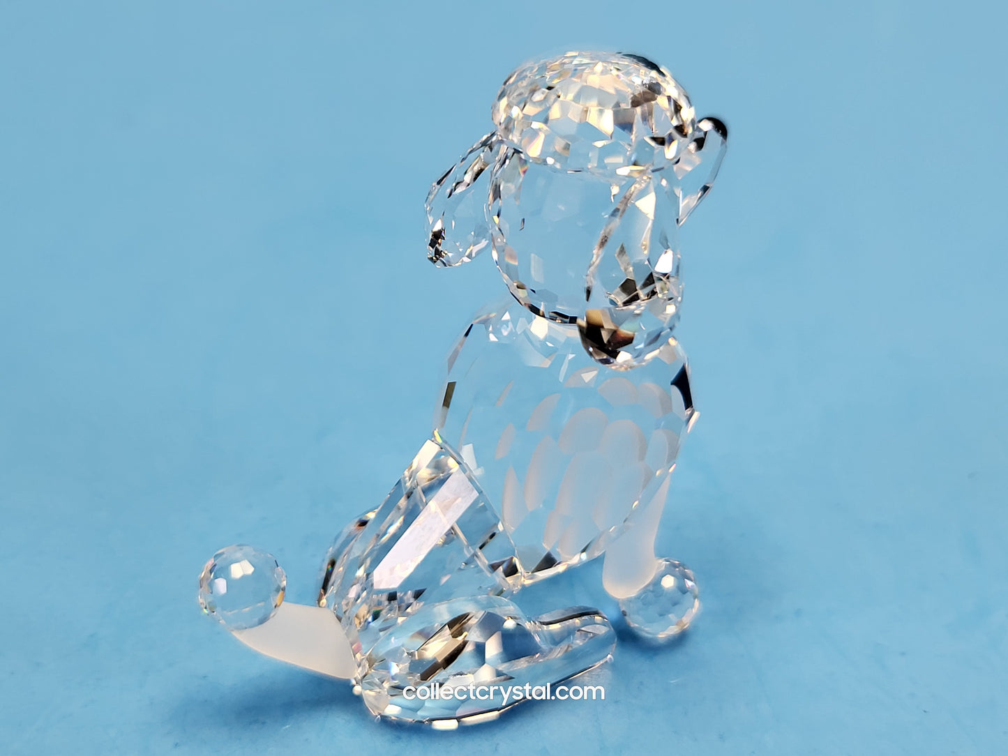 Poodle Dog with frosted tail SITTING 181317