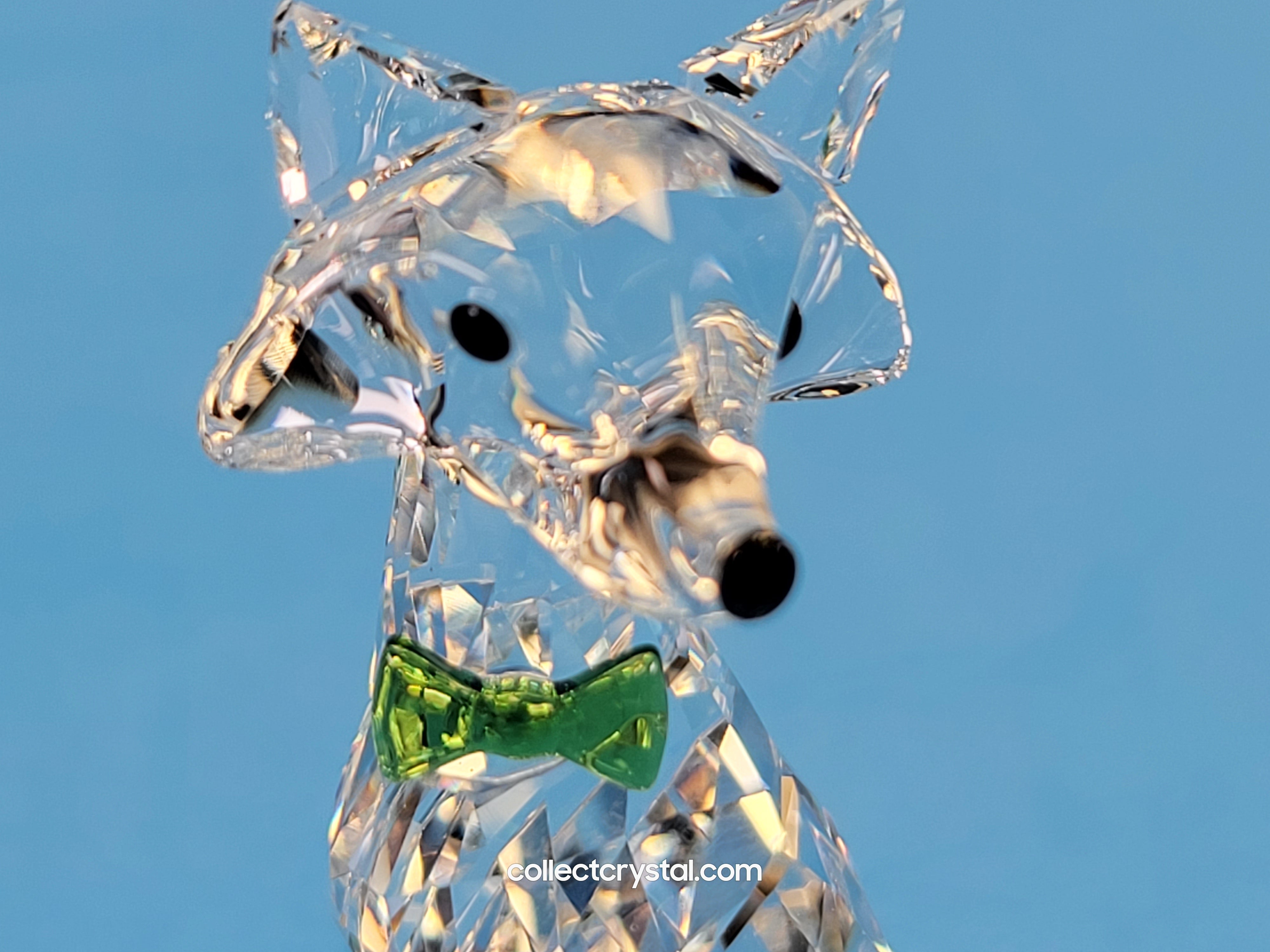 Swarovski Crystal buy SCS Arctic Fox Figurine Green Bow 2019 Loyalty Gift 5488902