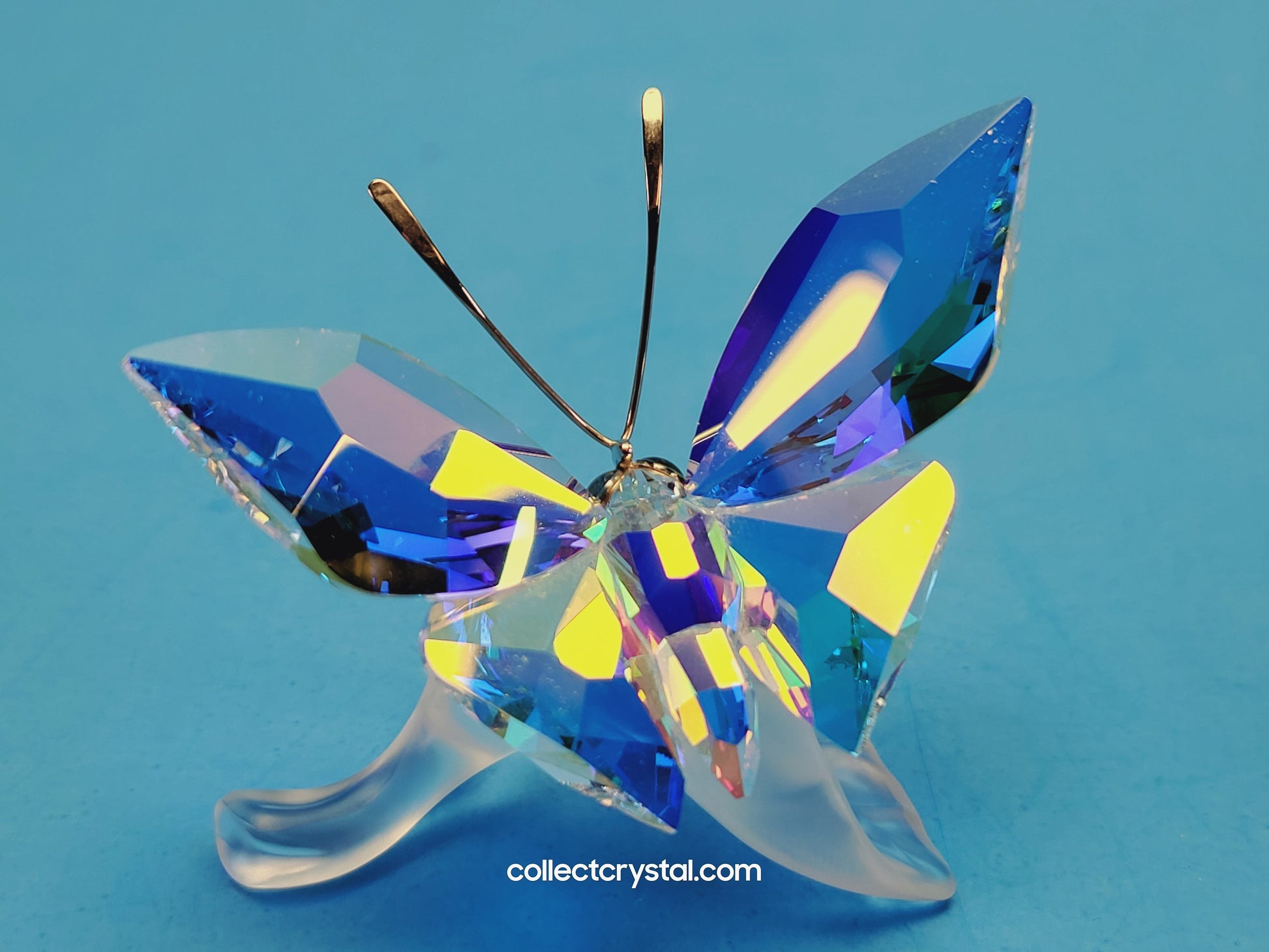 BUTTERFLY SPARKLING / SPARKLING BUTTERFLY ON LEAF Figurine 1113559