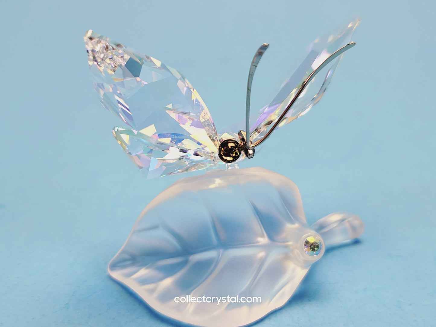 BUTTERFLY SPARKLING / SPARKLING BUTTERFLY ON LEAF Figurine 1113559