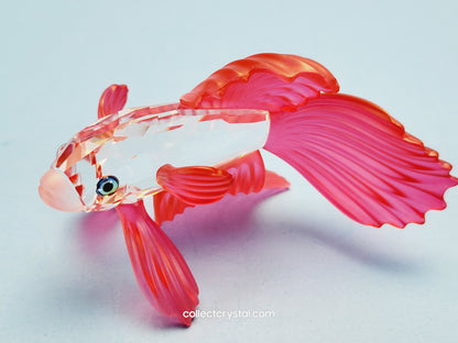 SIAMESE FIGHTING FISH Figurine Red Beta 660941