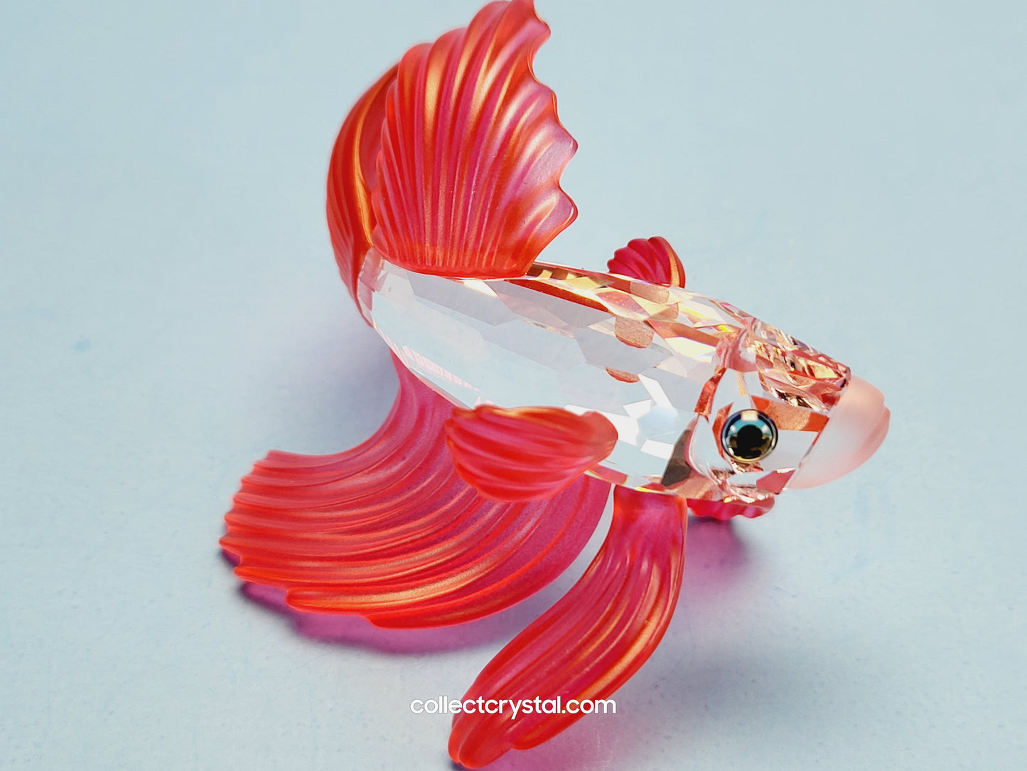 SIAMESE FIGHTING FISH Figurine Red Beta 660941