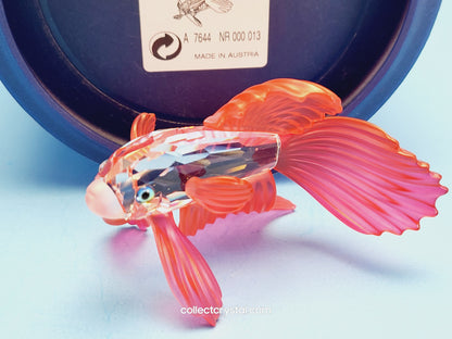 SIAMESE FIGHTING FISH Figurine Red Beta 660941