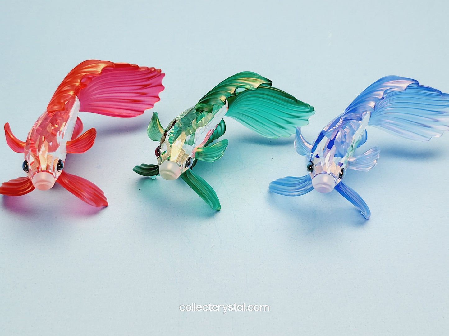 SIAMESE FIGHTING FISH Figurine Green Beta 261259, Swarovski