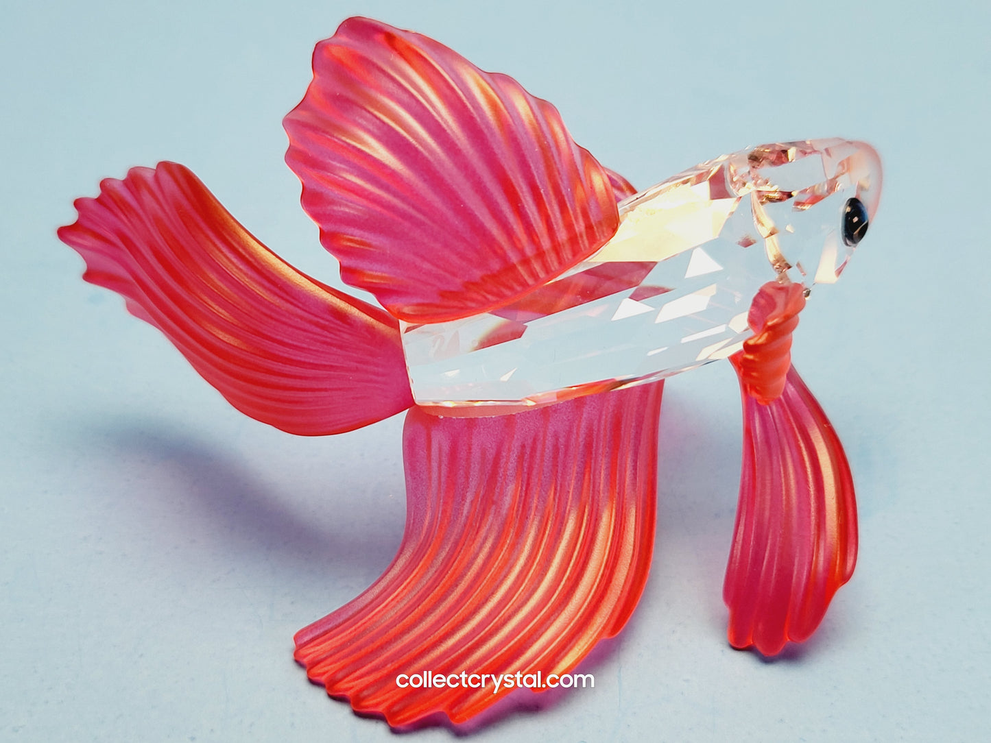 SIAMESE FIGHTING FISH Figurine Red Beta 660941