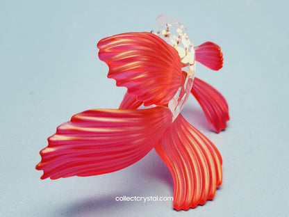 SIAMESE FIGHTING FISH Figurine Red Beta 660941