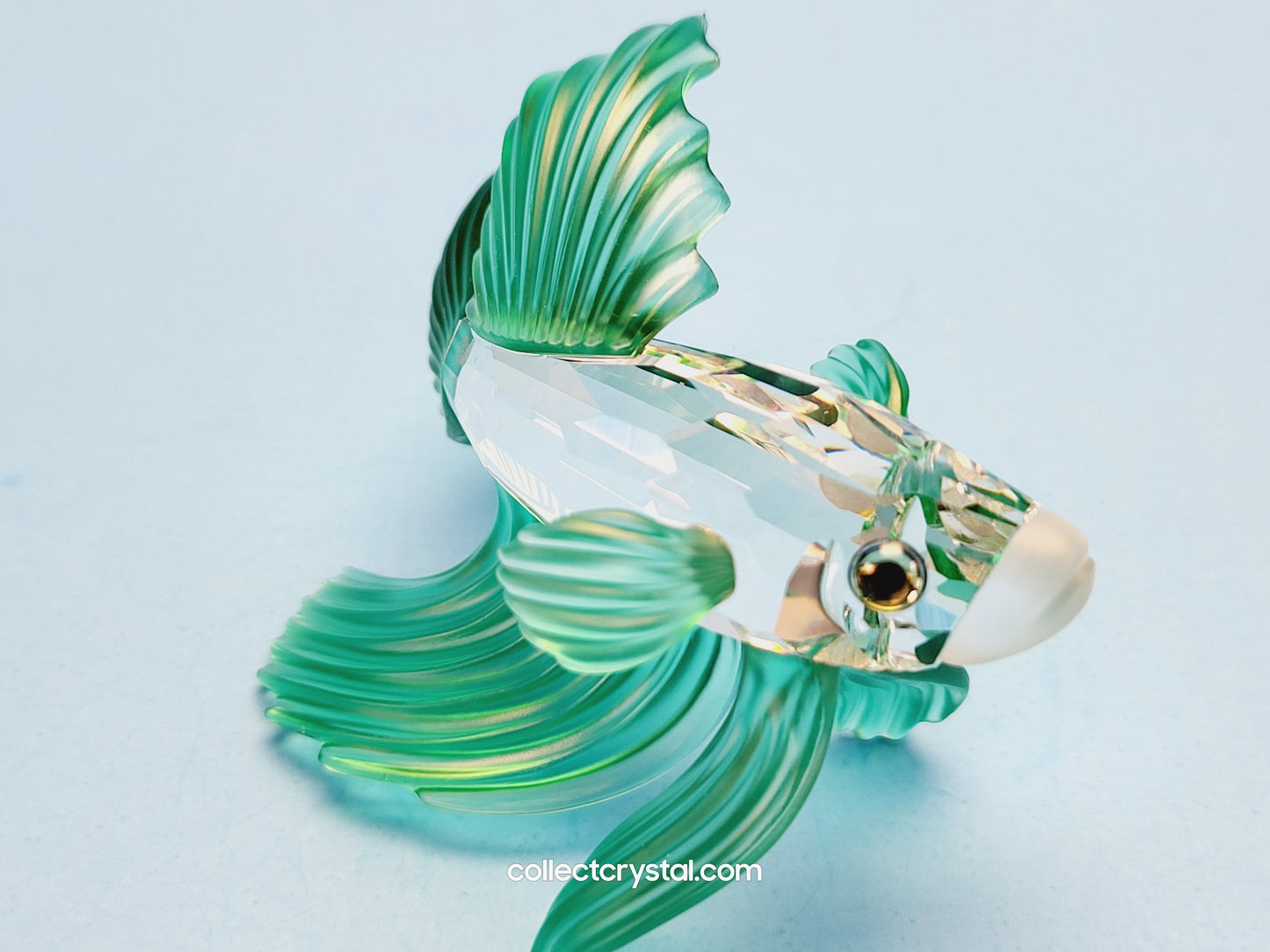 SIAMESE FIGHTING FISH Figurine Green Beta 261259, Swarovski