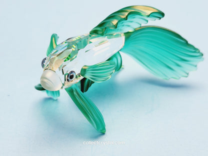 SIAMESE FIGHTING FISH Figurine Green Beta 261259, Swarovski