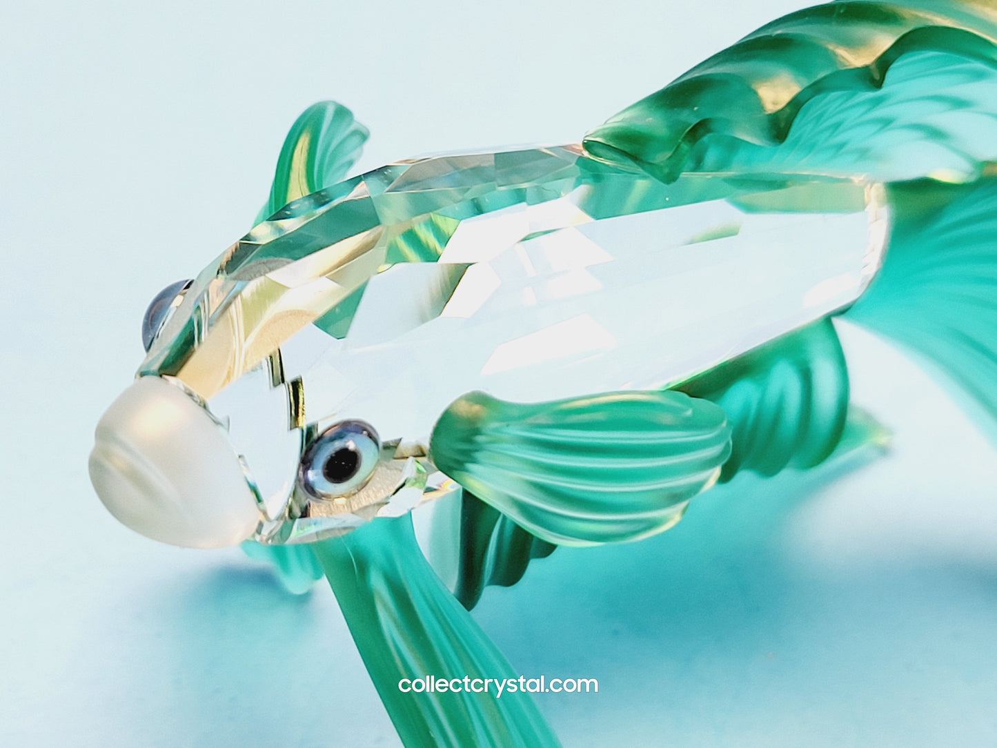 SIAMESE FIGHTING FISH Figurine Green Beta 261259, Swarovski